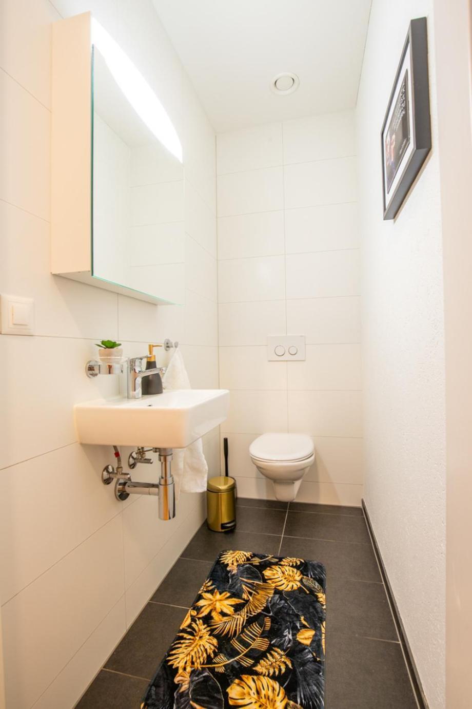 Appartement Special Einstein Ii Basel, Messe Kleinbasel 10-star *